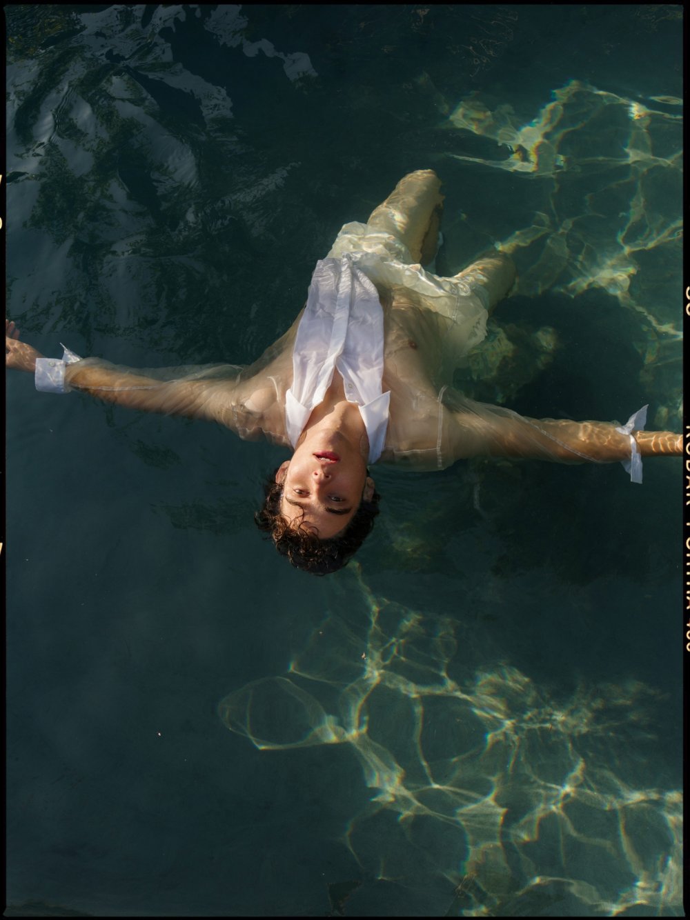 Joshua Bassett Torsos