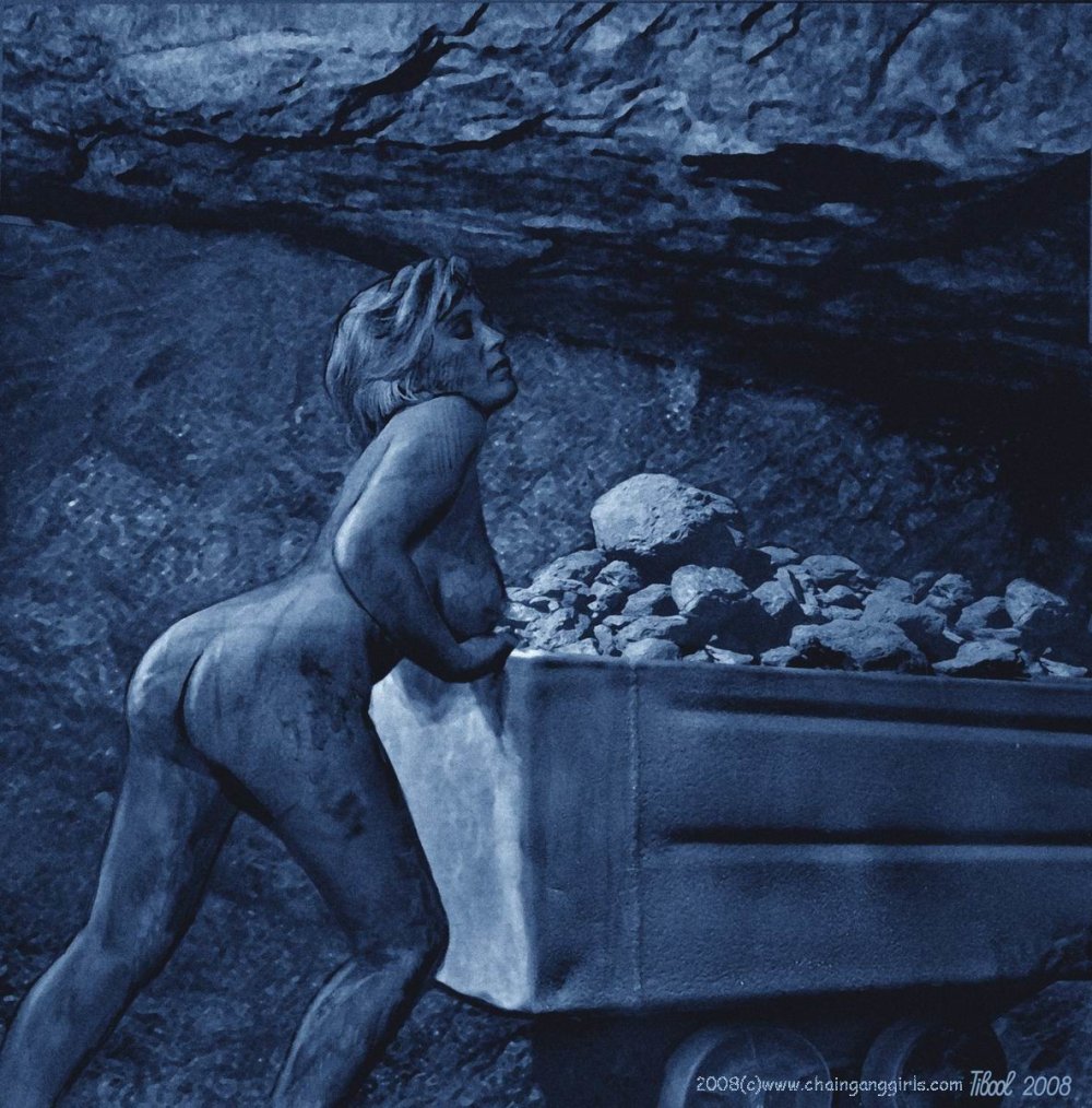 Tibool Tibools Colorfultibool 2016