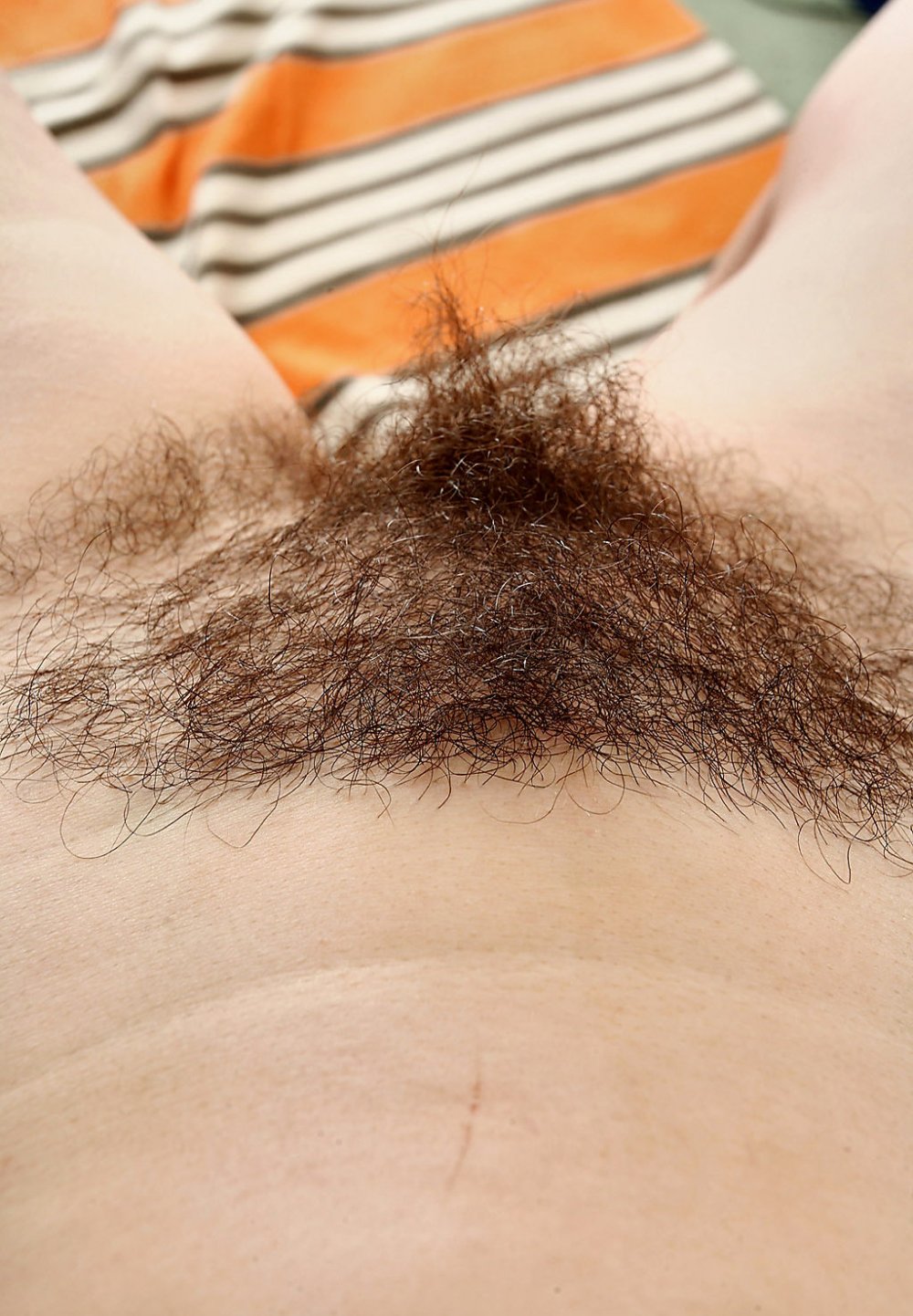 Amateur Natural Pubis photo