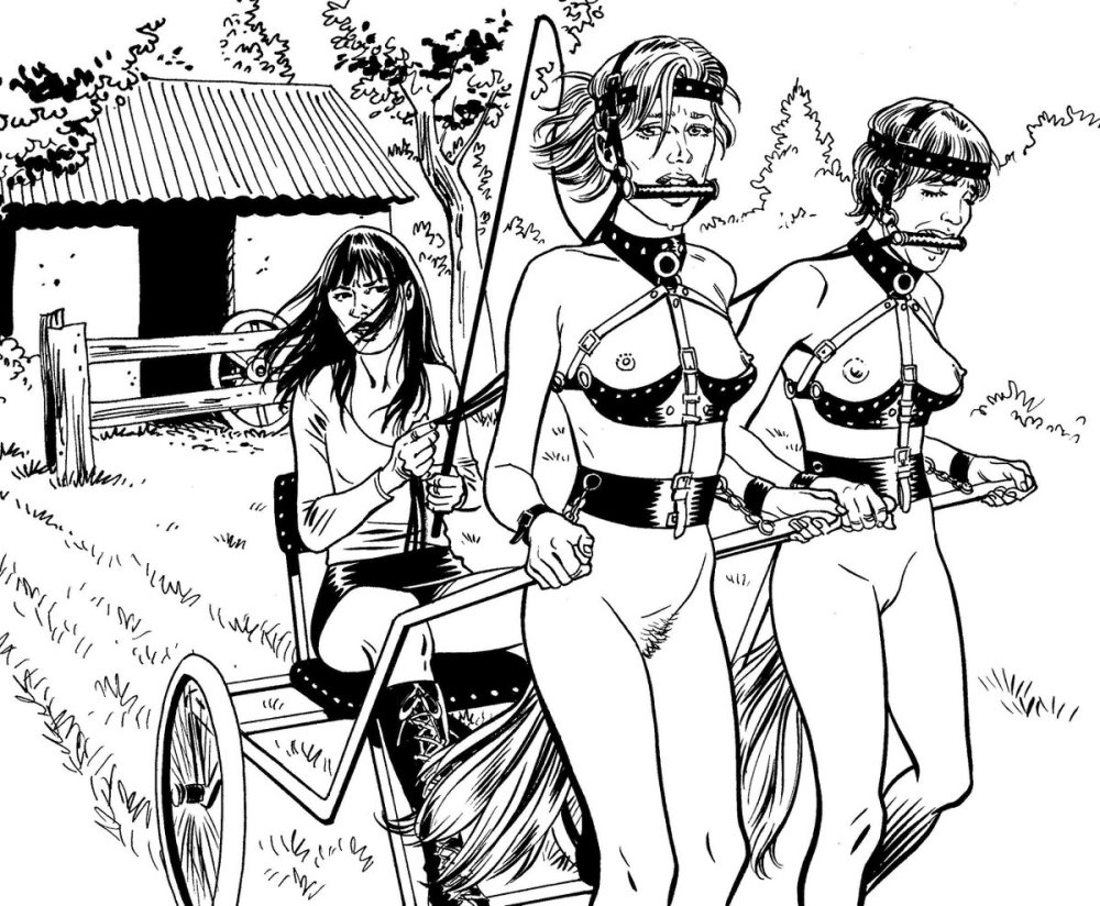 Bondage Pondley comics