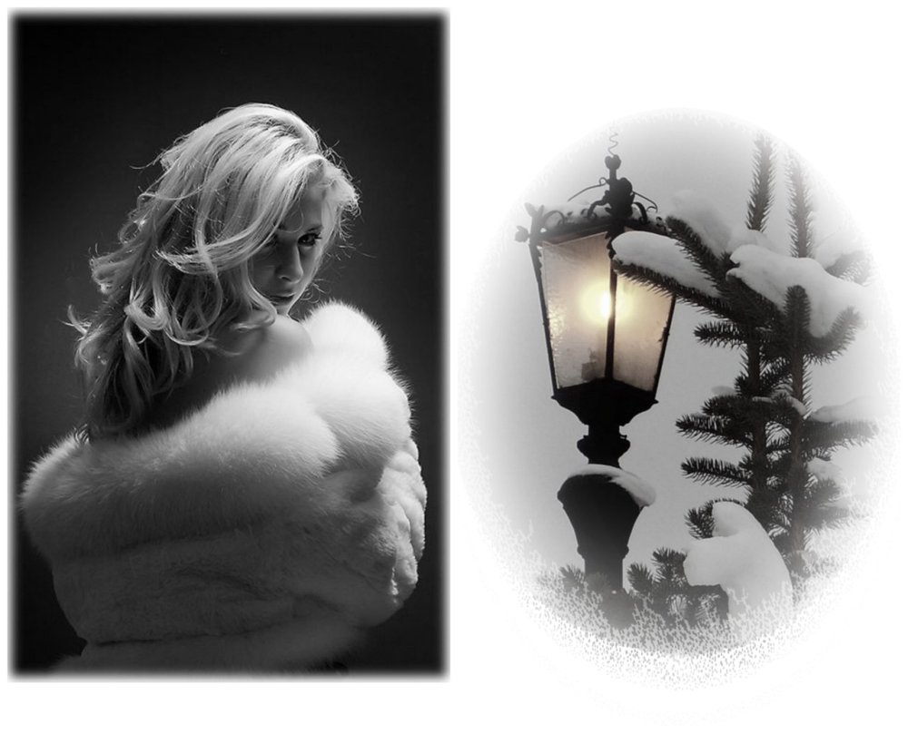 The music of your steps in the silence of forest snow, and, like a slow shadow,