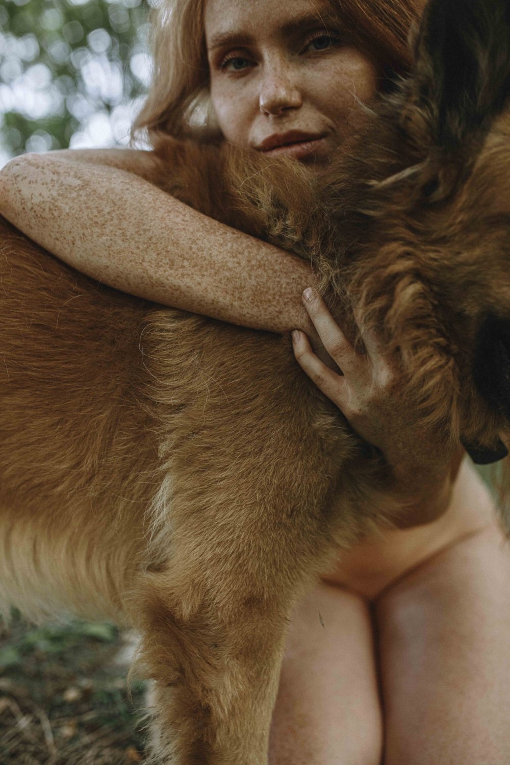 Photo shoot with dogs