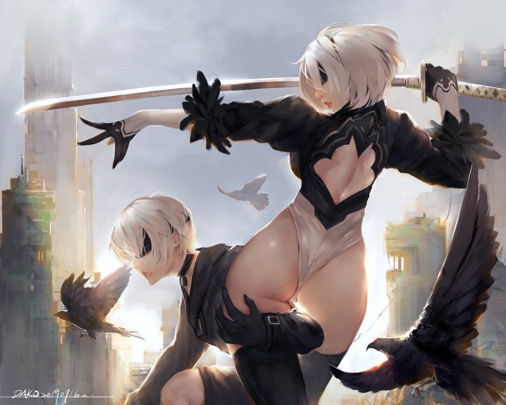 Nier Automata anime 2b and 9s