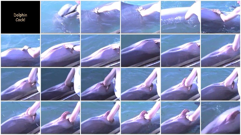 Masturbation of the female dolphin