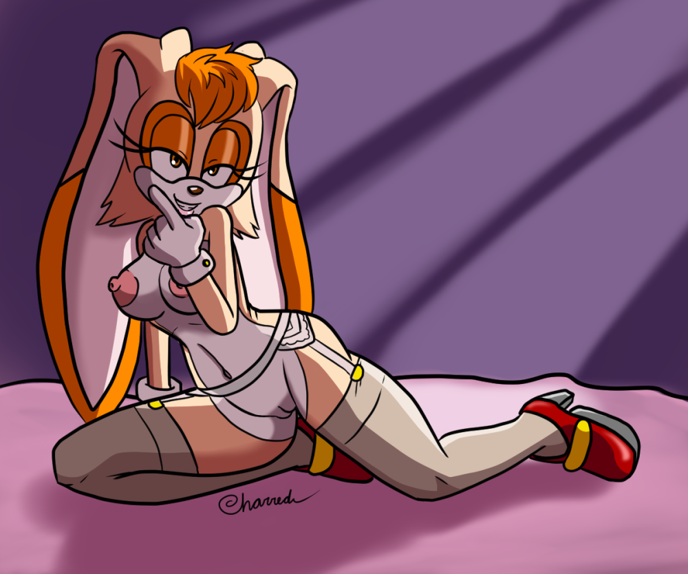 Sonic X Rabilchikha Vanilla