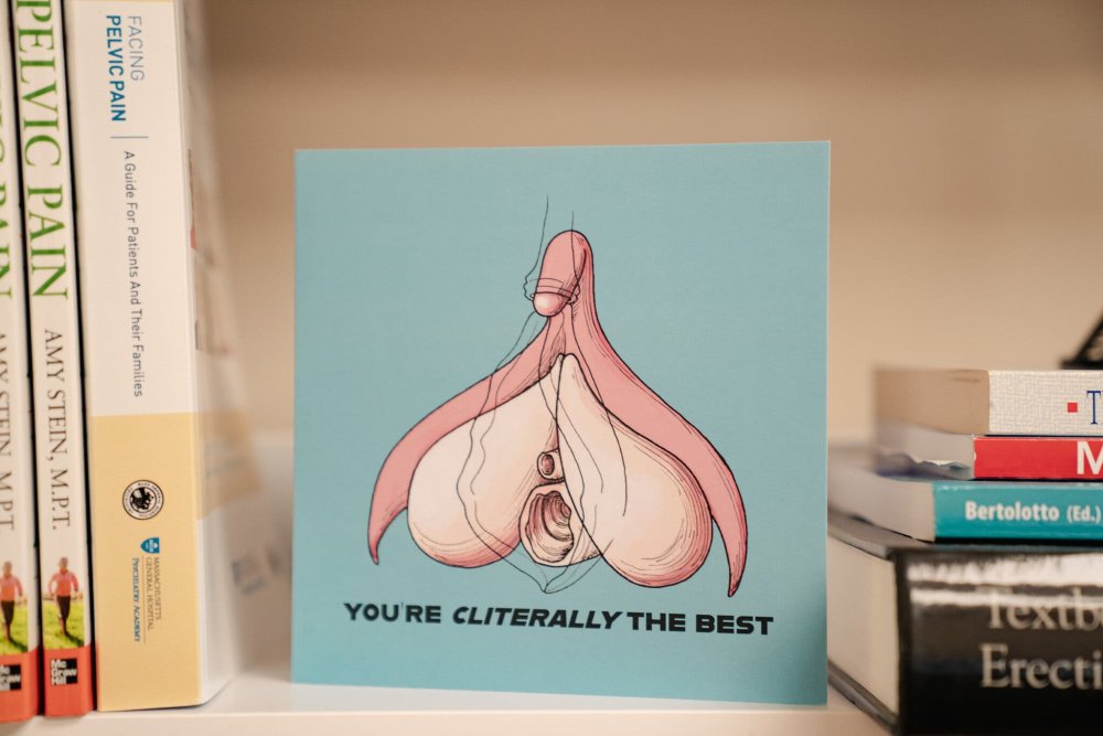 Anatomy clitoris