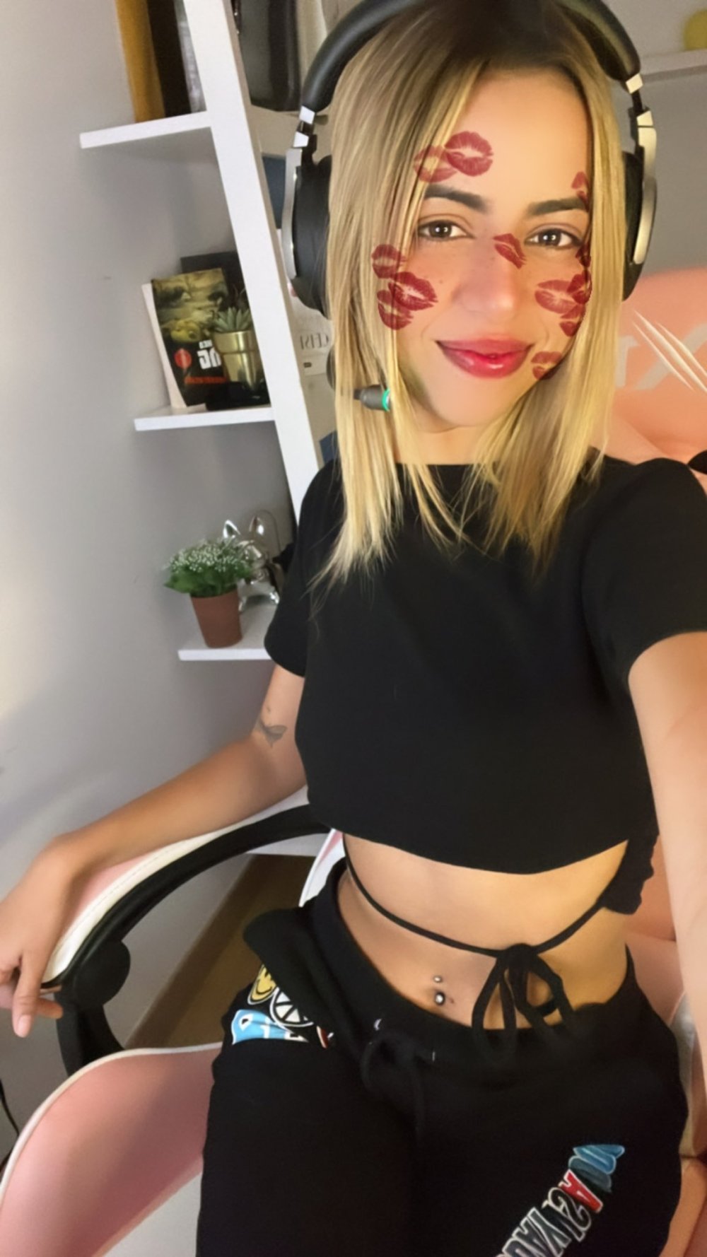 Mellstroy and streamers