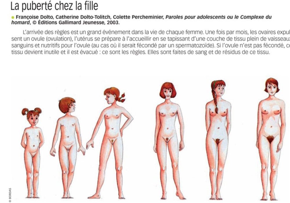 Girl Puberty Development Realistic drawings