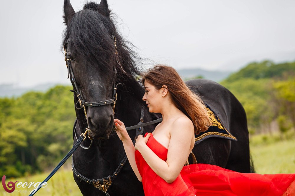 Photo shoots with horses