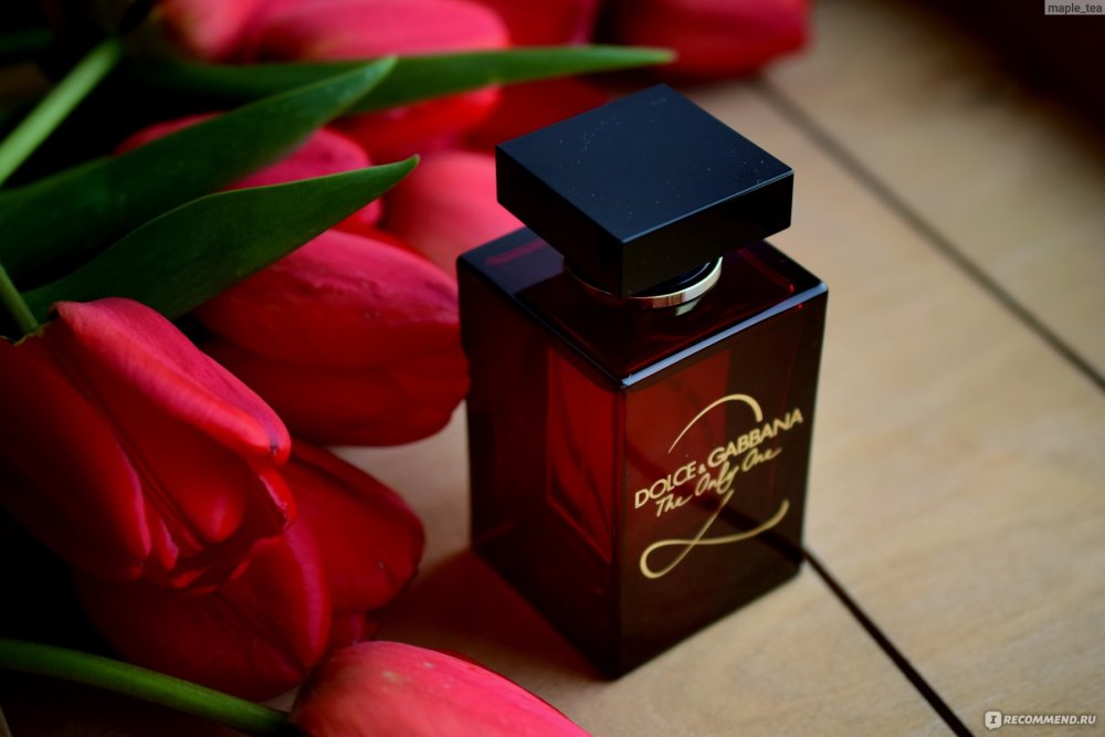 Dolce gabbana the only one