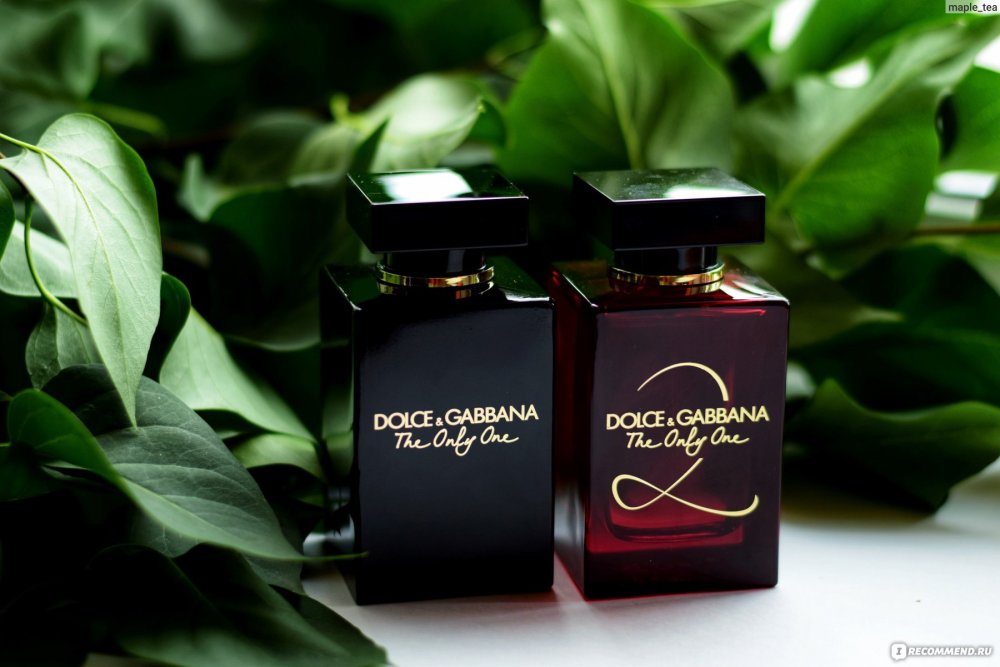 Dolce Gabban Dolce
