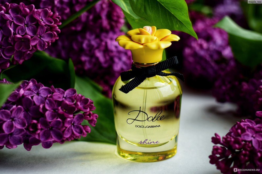 Dolce Shine Dolce & Gabbana