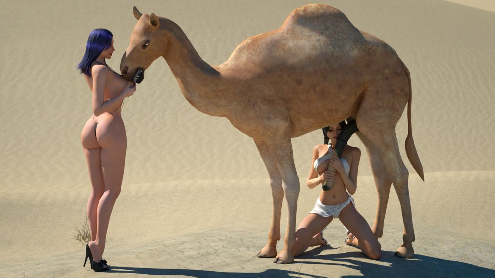 Girl fucks a camel
