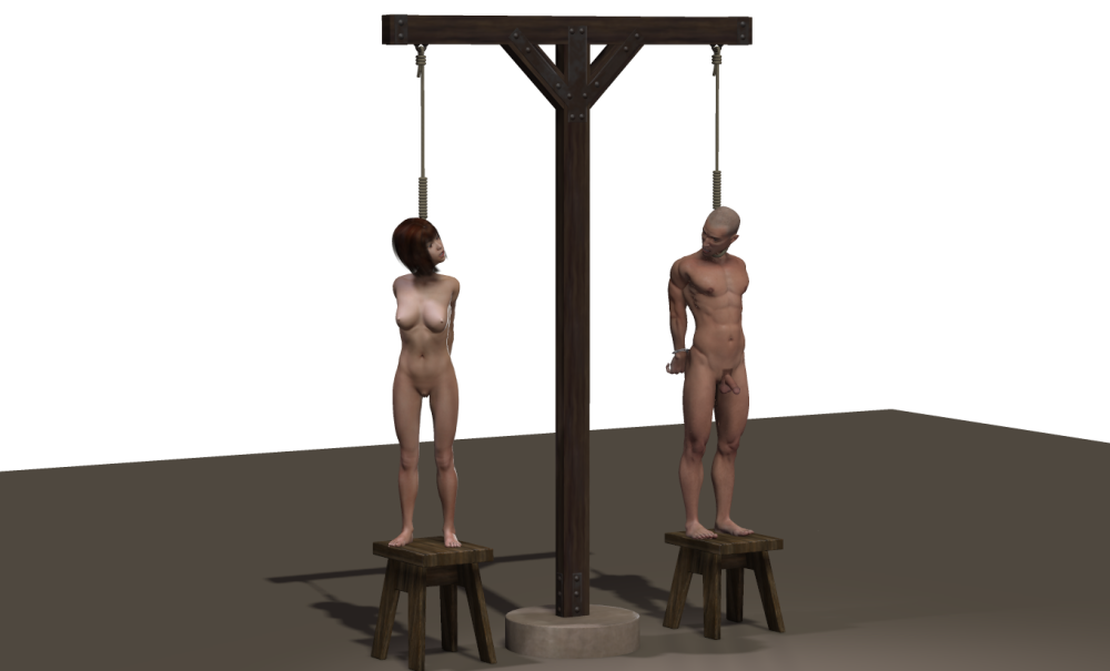 Erotic hanging