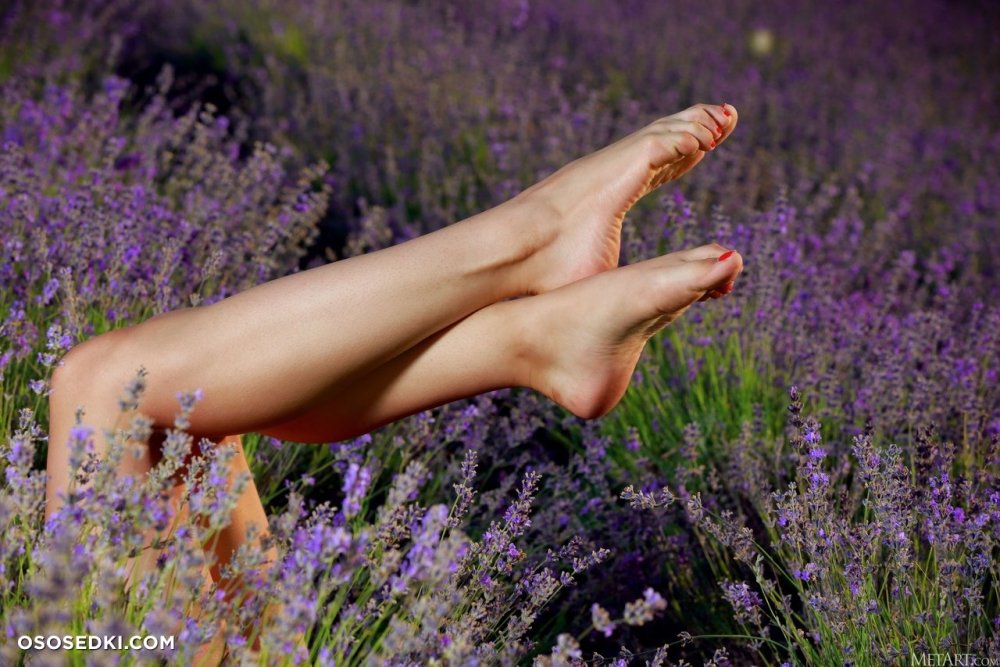 Viva Georgia - among the flowers naked