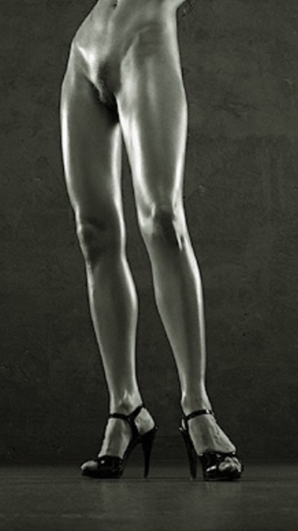 Female legs are beautiful