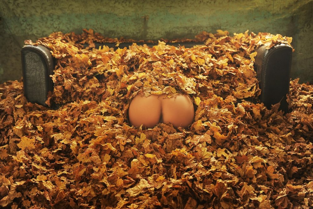 Girl in autumn leaves nude