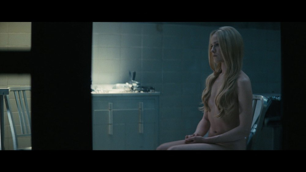 Actress Evan Rachel Wood Nude