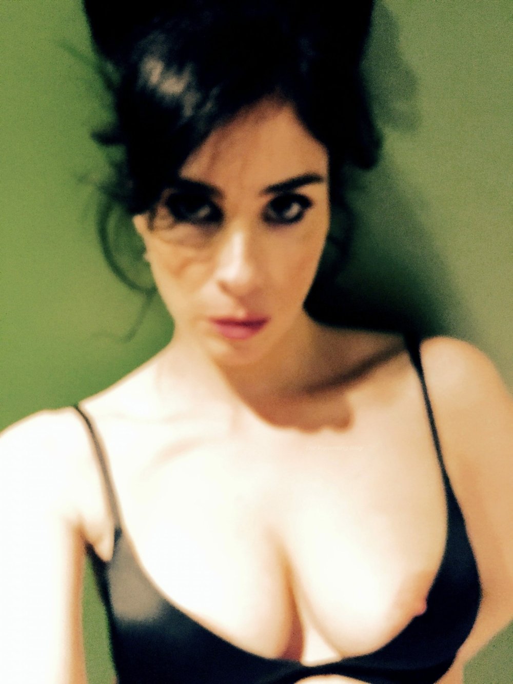 Sarah Silverman Leak