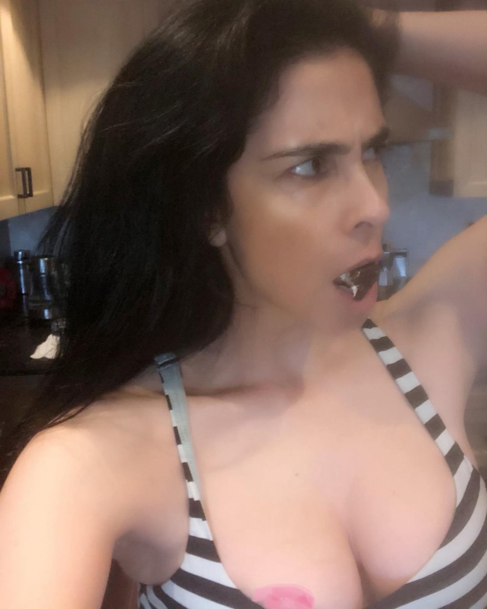 Sarah Silverman photo nude