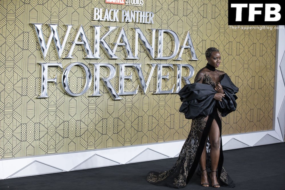 Black panther wakanda forever
