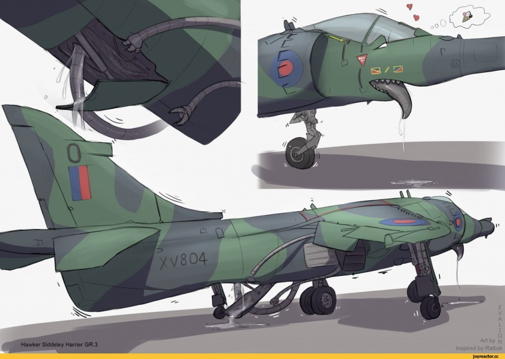 Arsa aircraft