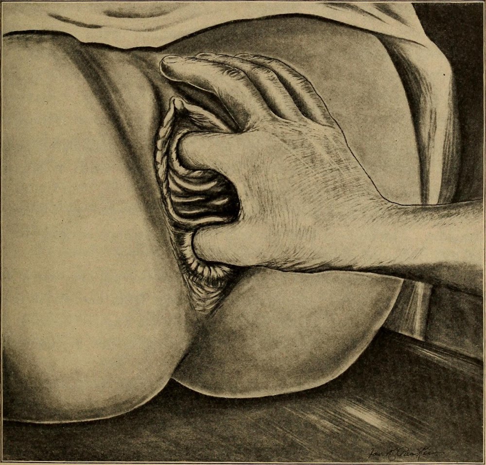 Vulva Art Image