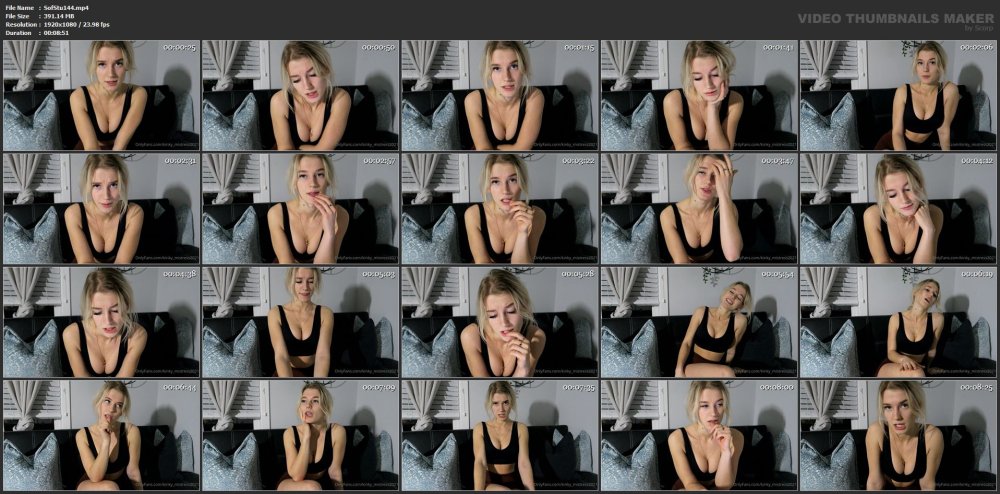Webcams of the model