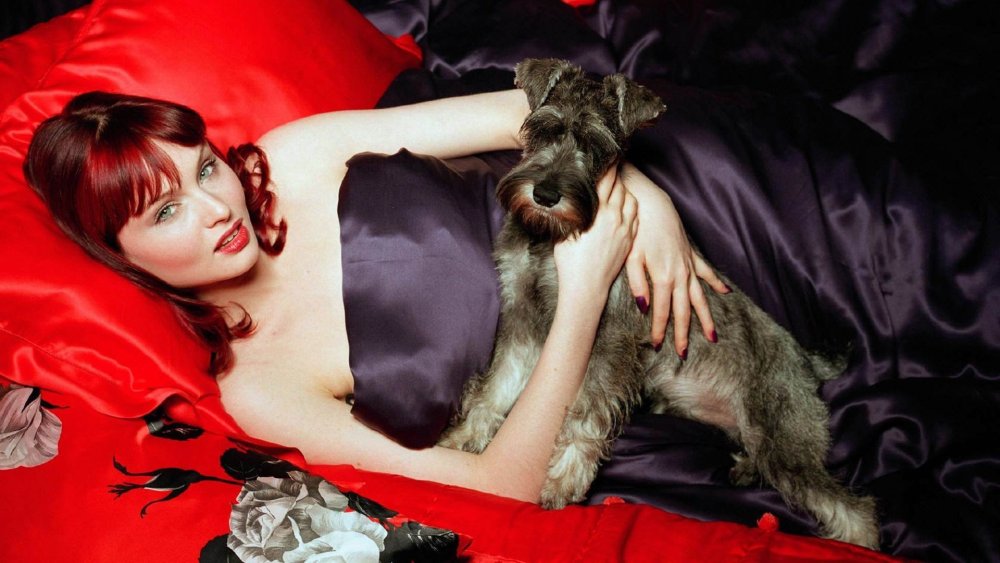 SOPHIE ELLIS-BEXTOR