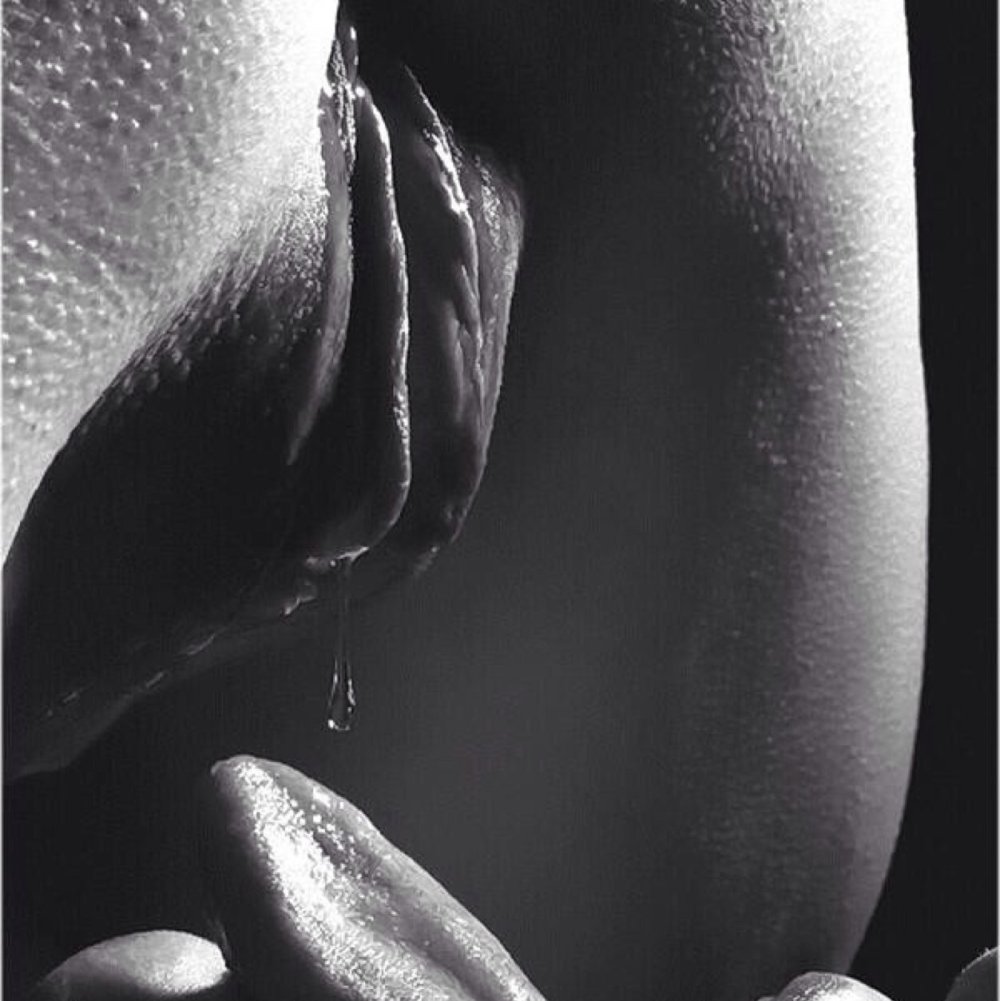 Beautiful black and white cooney