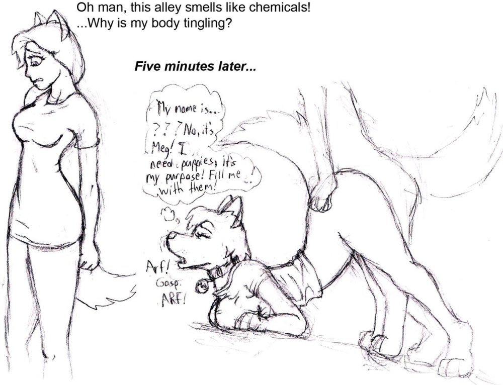 Furry Transformation