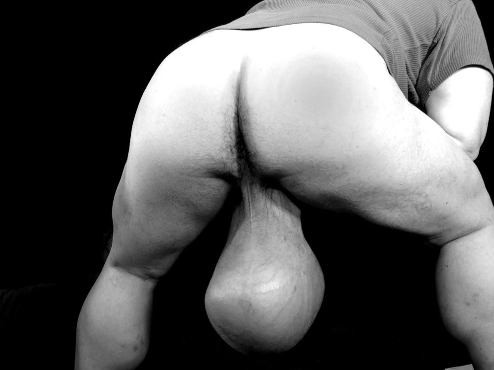 Big boobs and big eggs