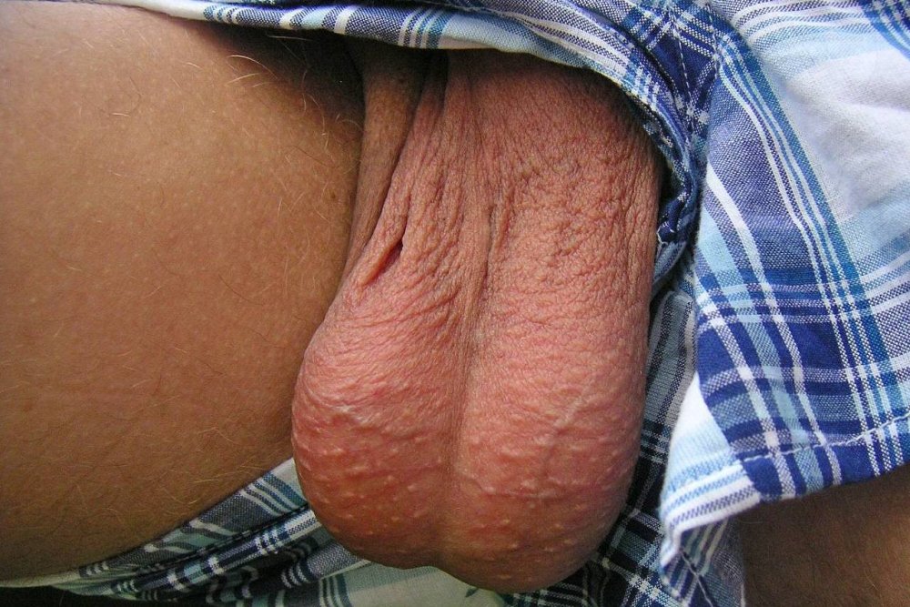 Men with Big Hanging Balls MonsterCocjland MegaCum