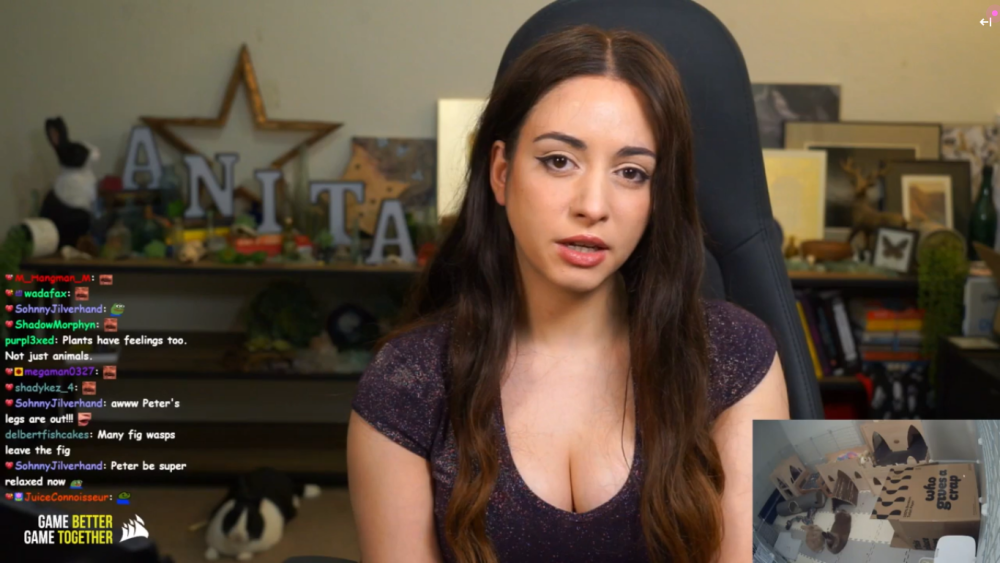 The most beautiful girls Twich