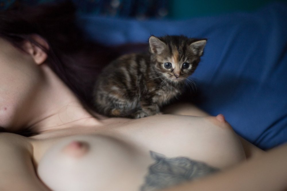 Kitten on tits girl