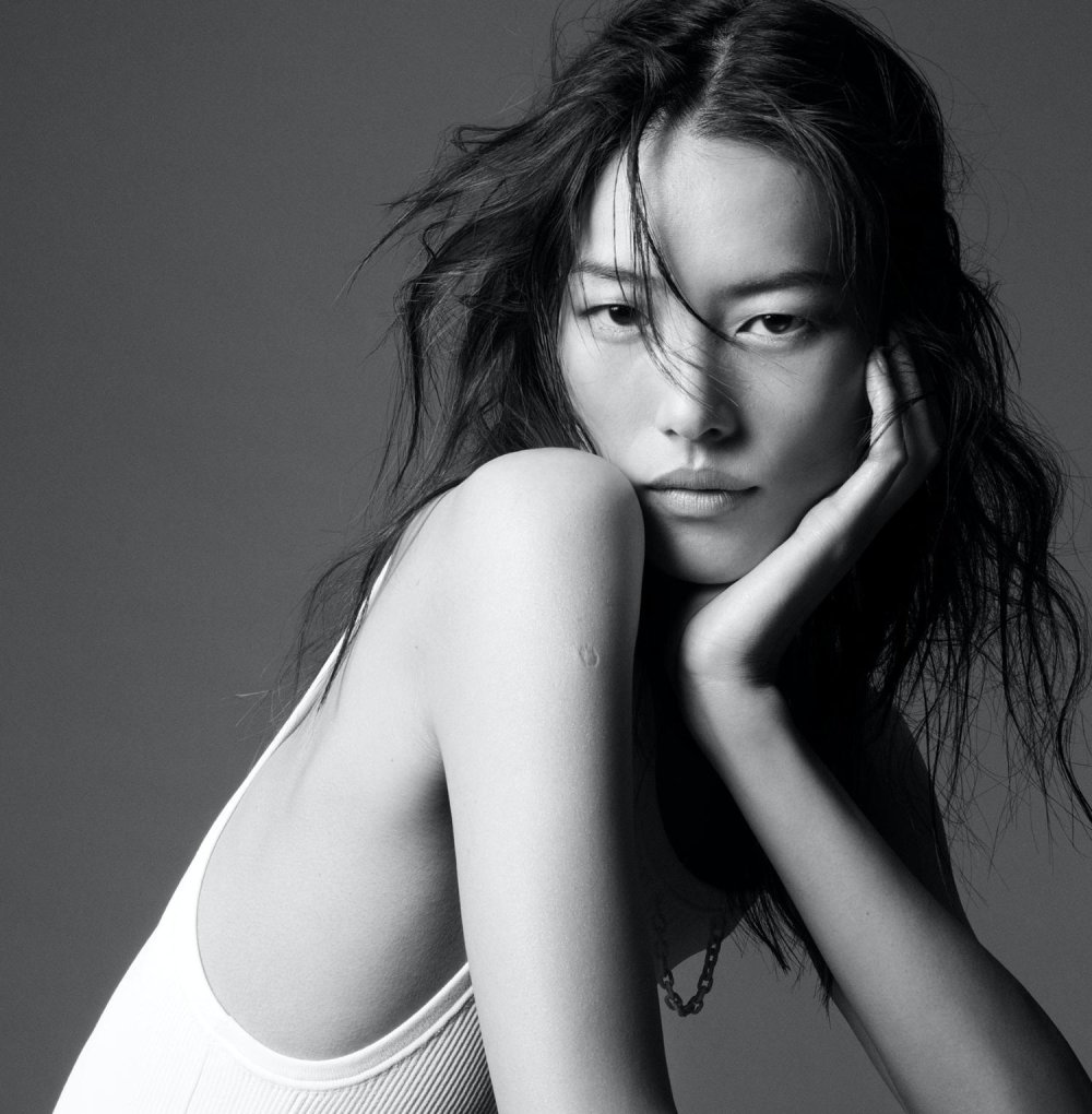 Liu Wen Model