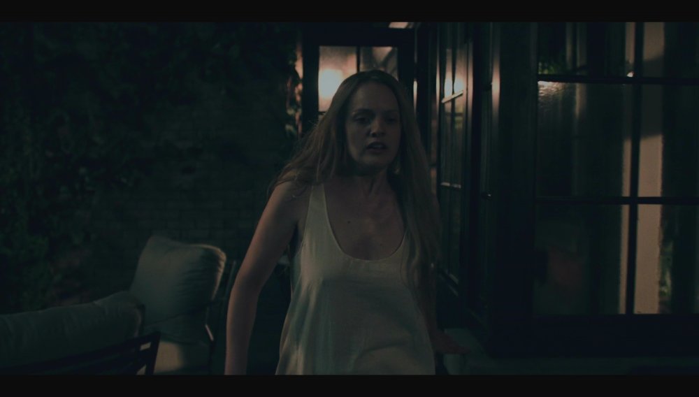 Elizabeth Moss Ero in cinema