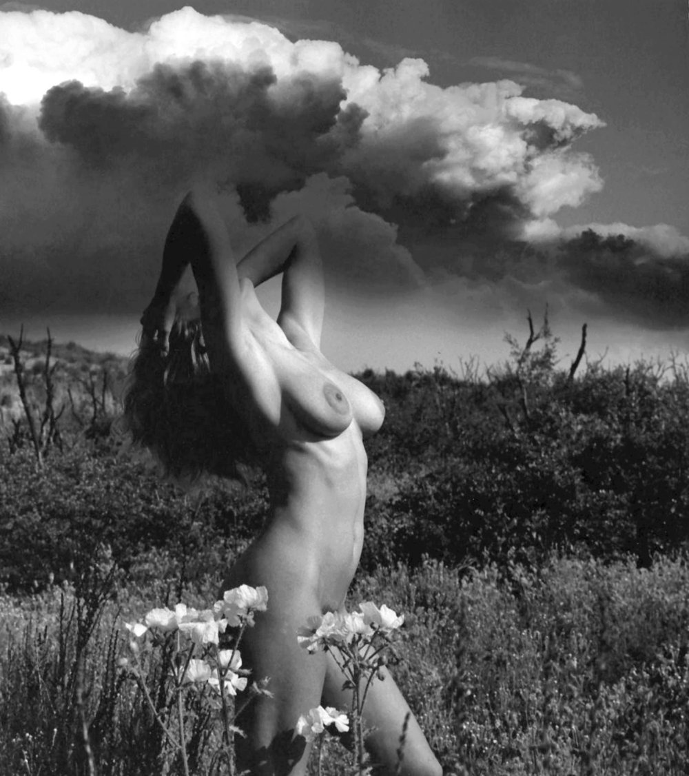 Anita Ekberg, Sexual Symbol of Sweden (1950)