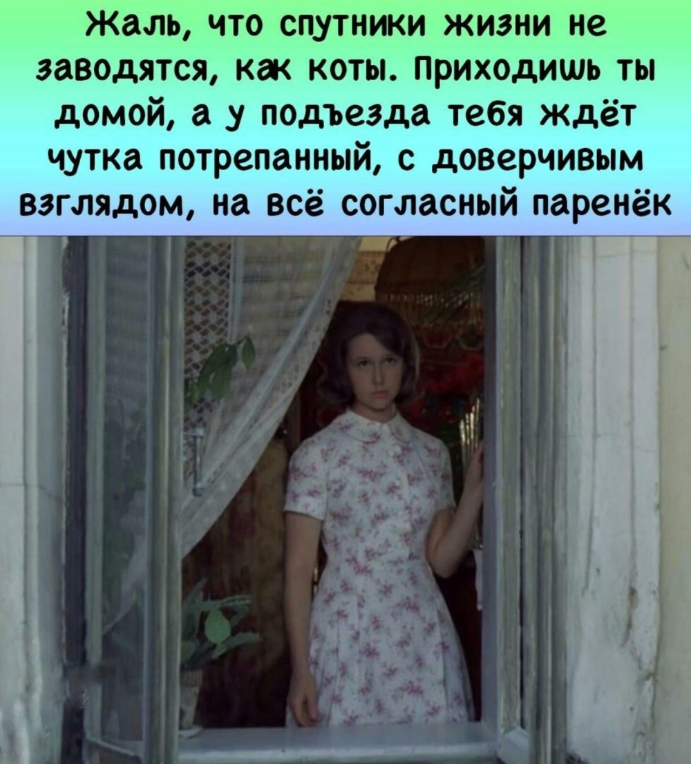 Evgenia Simonova Afonya Kadra