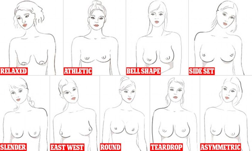 Types of forms female breast