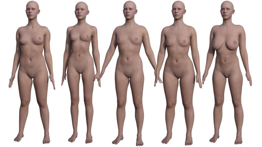 D Model Mannequin Alvanon