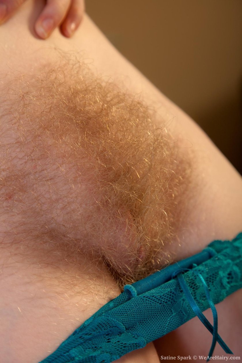 Hairy pussy