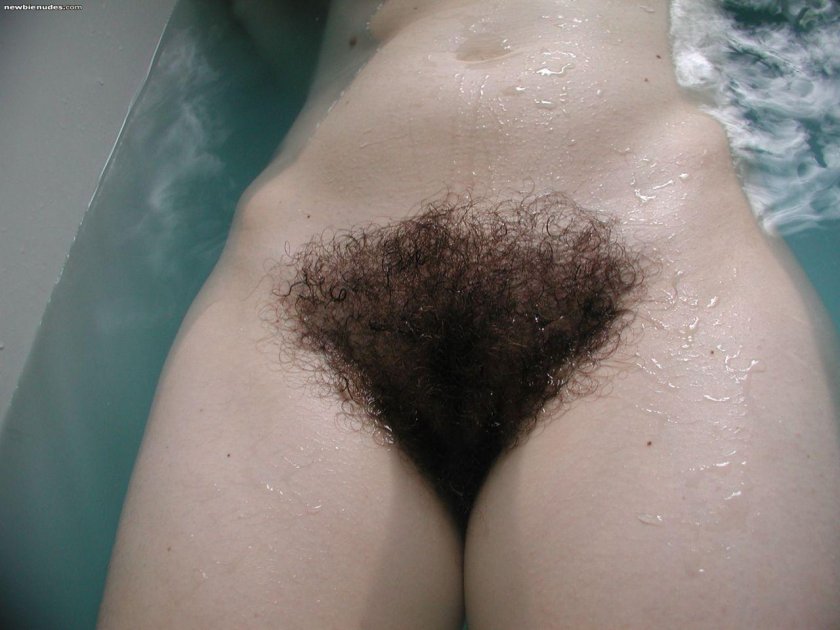 Beautiful hairy female pubis