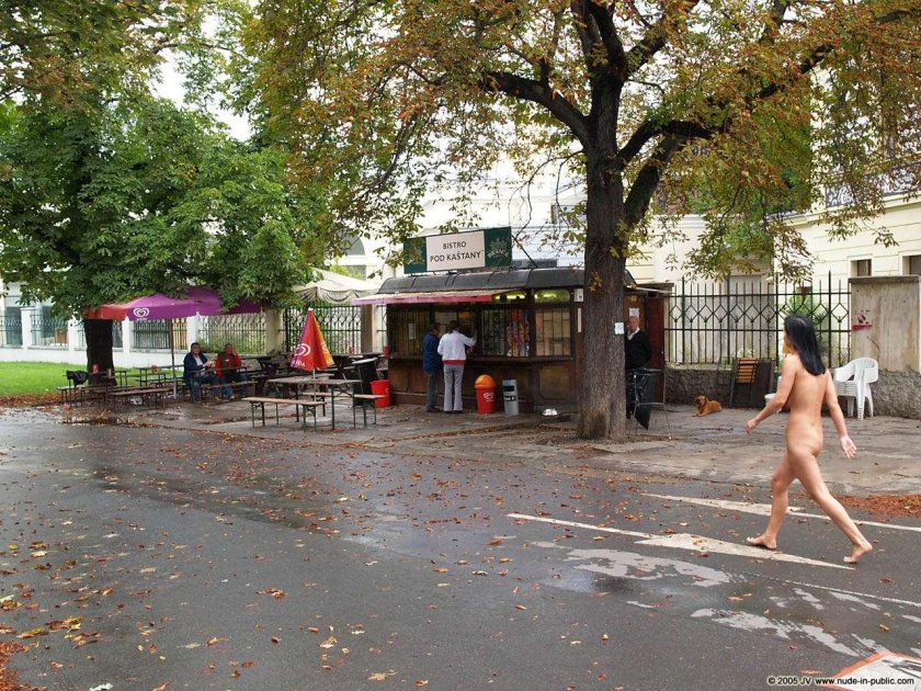Public nakedness