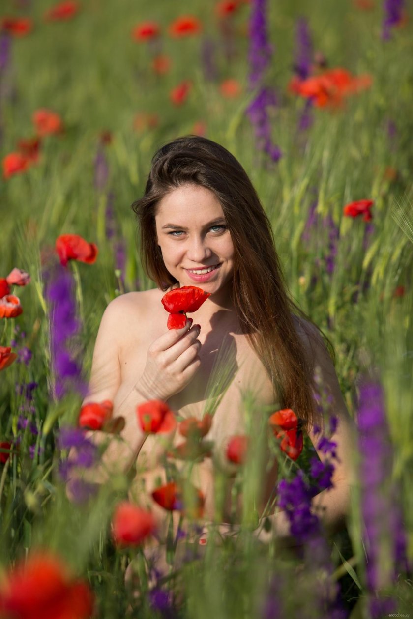 Photo shoot in a poppy field