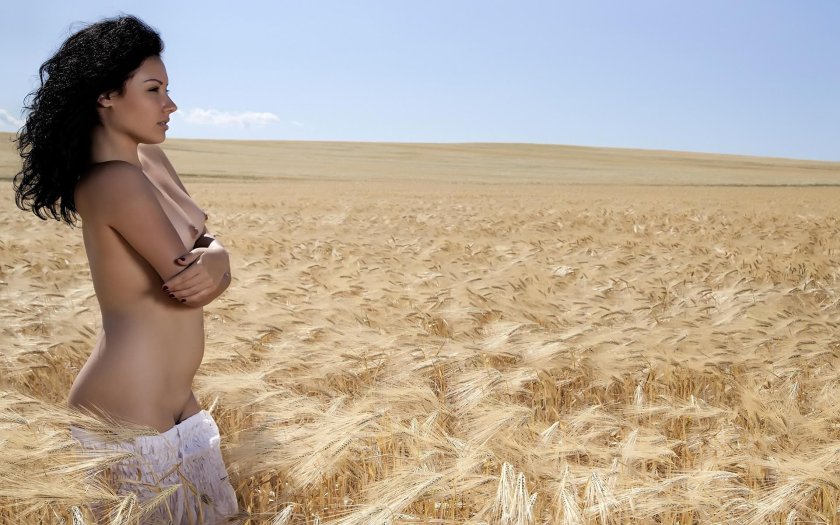 Nude girls in the field of wheat