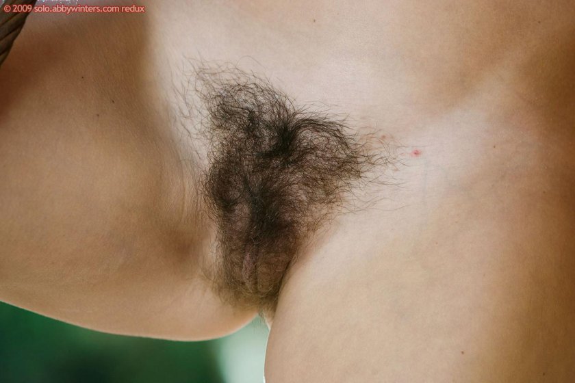 Beautiful hairy pubis