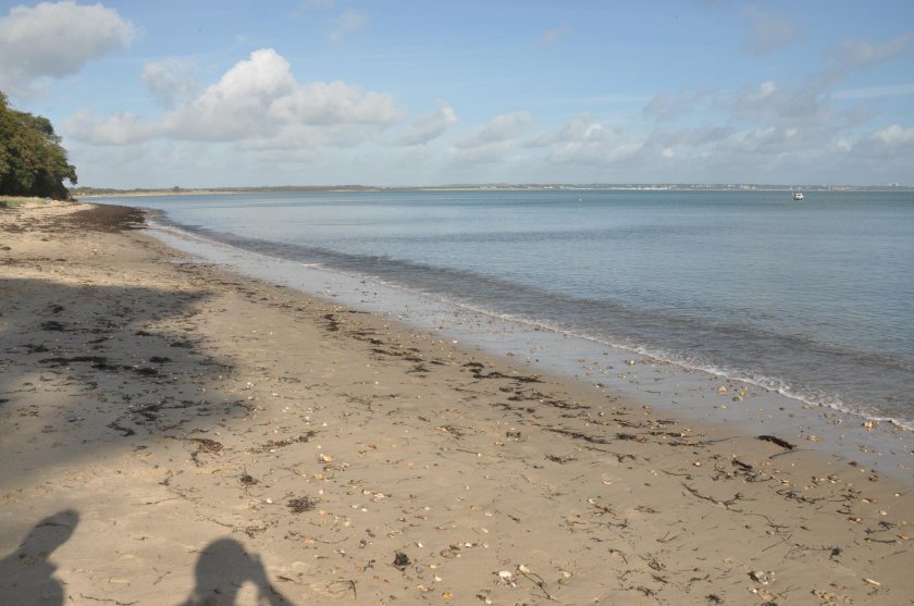 Studland beach