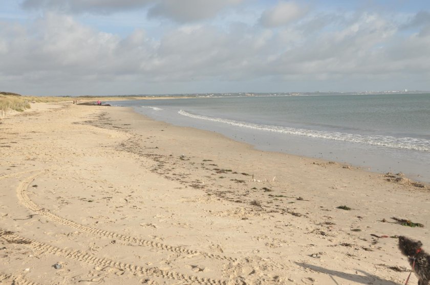 Studland middle beach