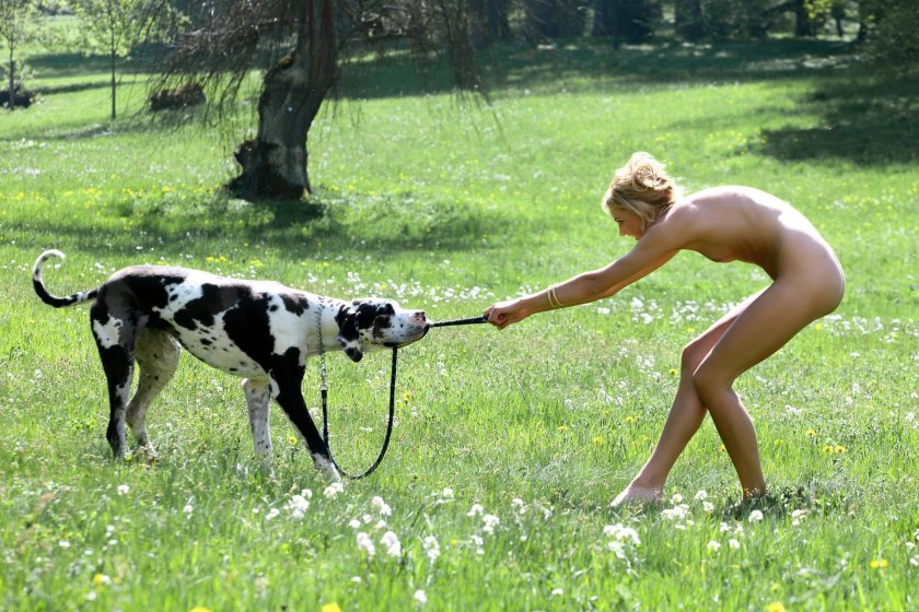 Erotic photo shoots with animals